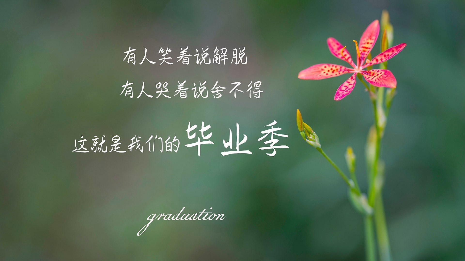 体育赛事数字版权保护，数字化体育赛事