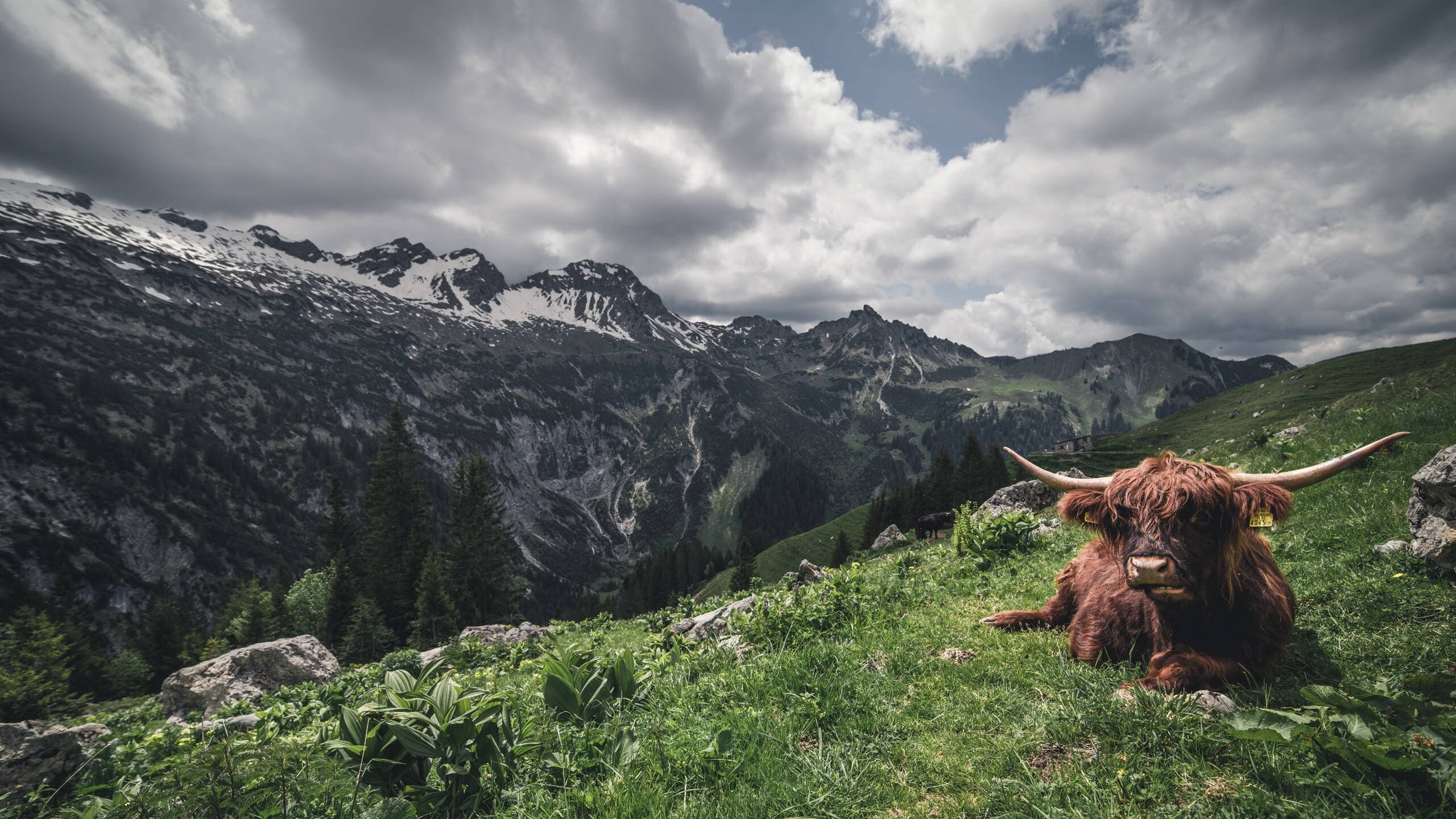 体育新闻中心建设体育数字内容版权保护体系,体育数据新闻
