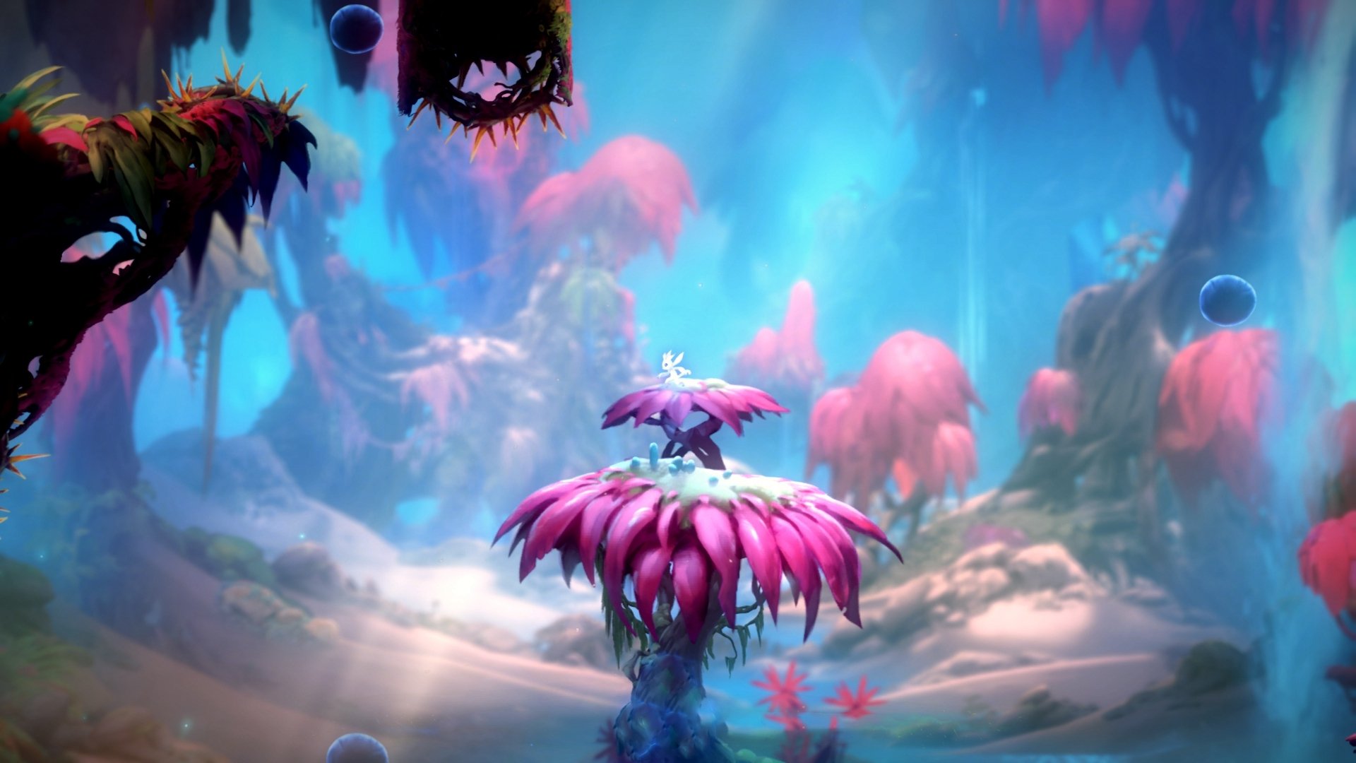 校园足球队伍设立文化积分鼓励全面发展，校园足球文化建设方案