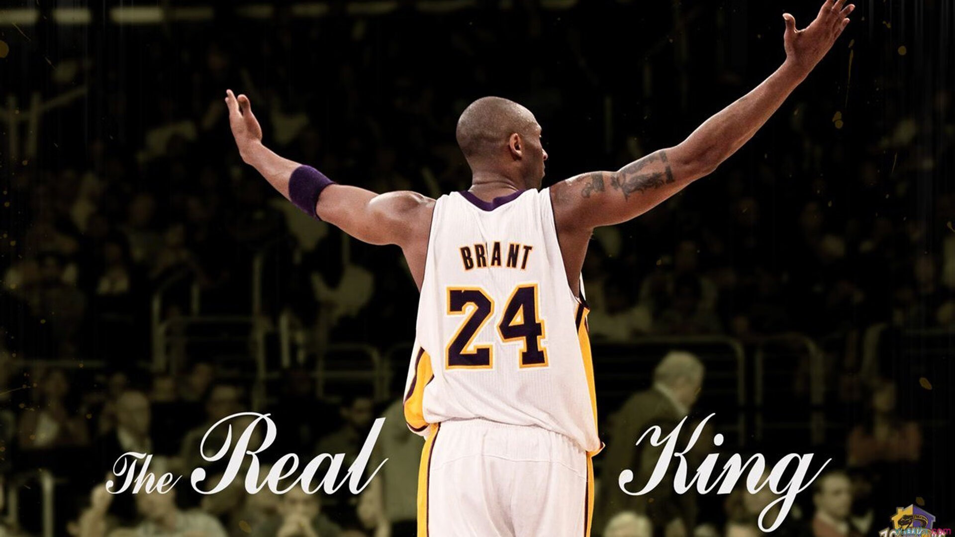 皇家贝蒂斯中场掌控增强调度全场节奏,皇家贝蒂斯b队