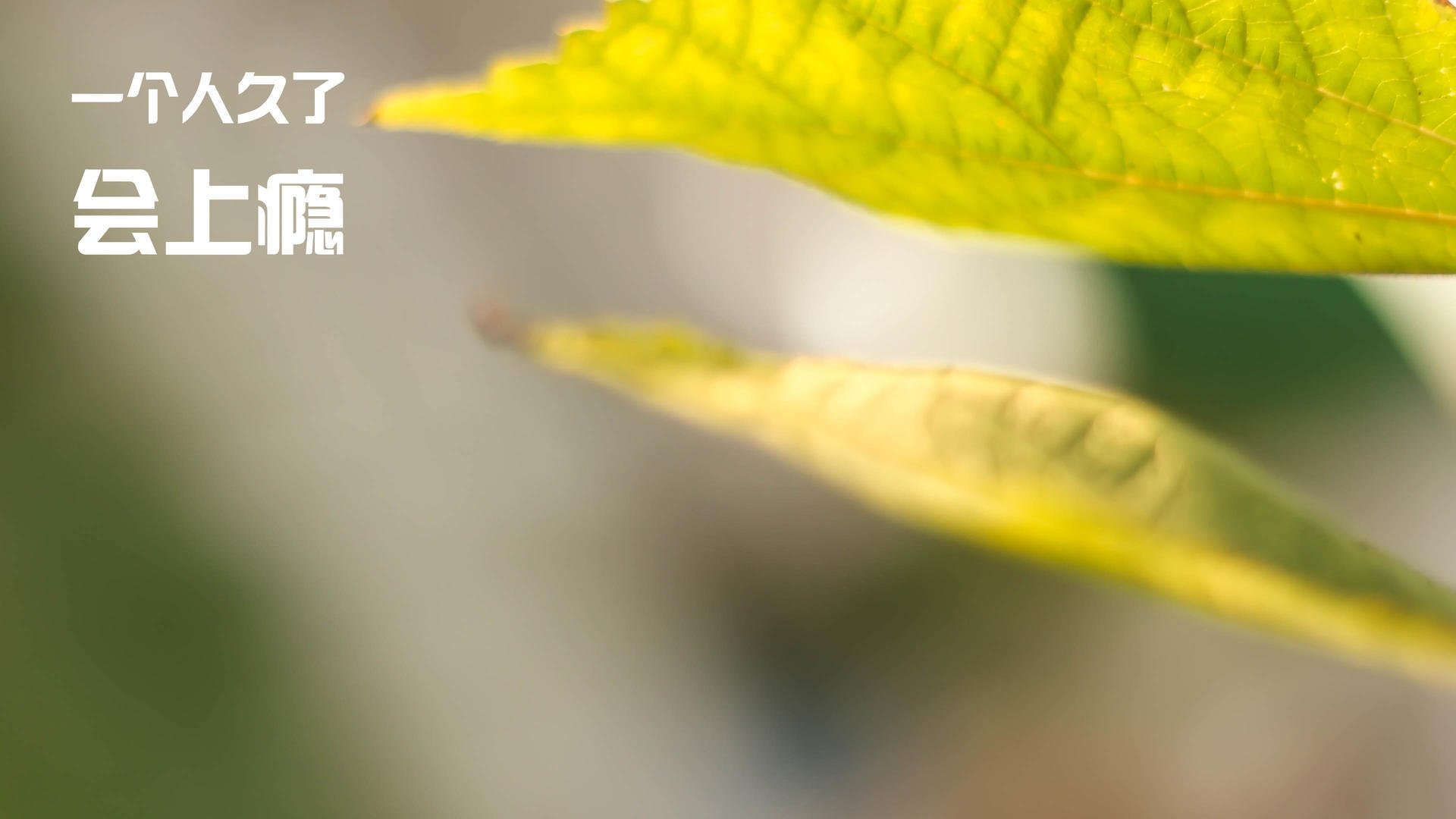 羽毛球混双项目热度提升引发关注,羽毛球混双啥意思