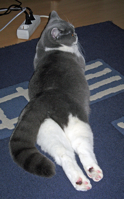 开云官网-乔治防守端贡献四次抢断展现全面能力，乔治防守什么水平