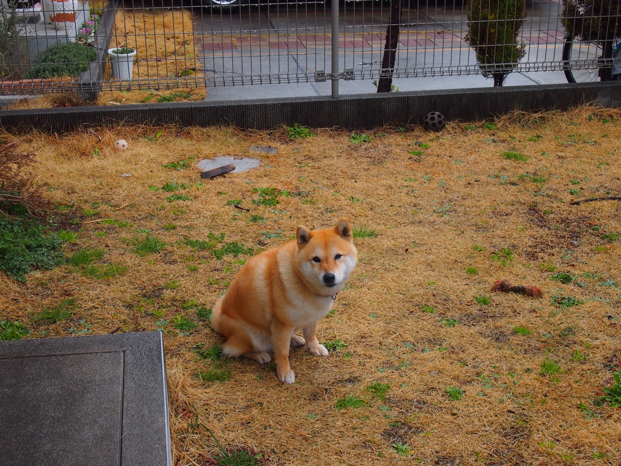 女篮老将带伤出战表现稳定传递坚持精神感染全队士气，女篮名将