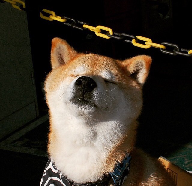 安东·李恩:凭借不懈的跑动和精准的传球,他为全黑队创造进攻机会