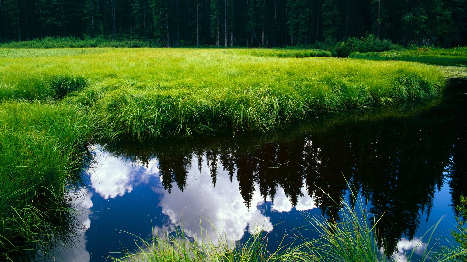 开云体育app下载-新球场照明系统投用，夜场比赛视觉升级，球场照明灯啥品牌好