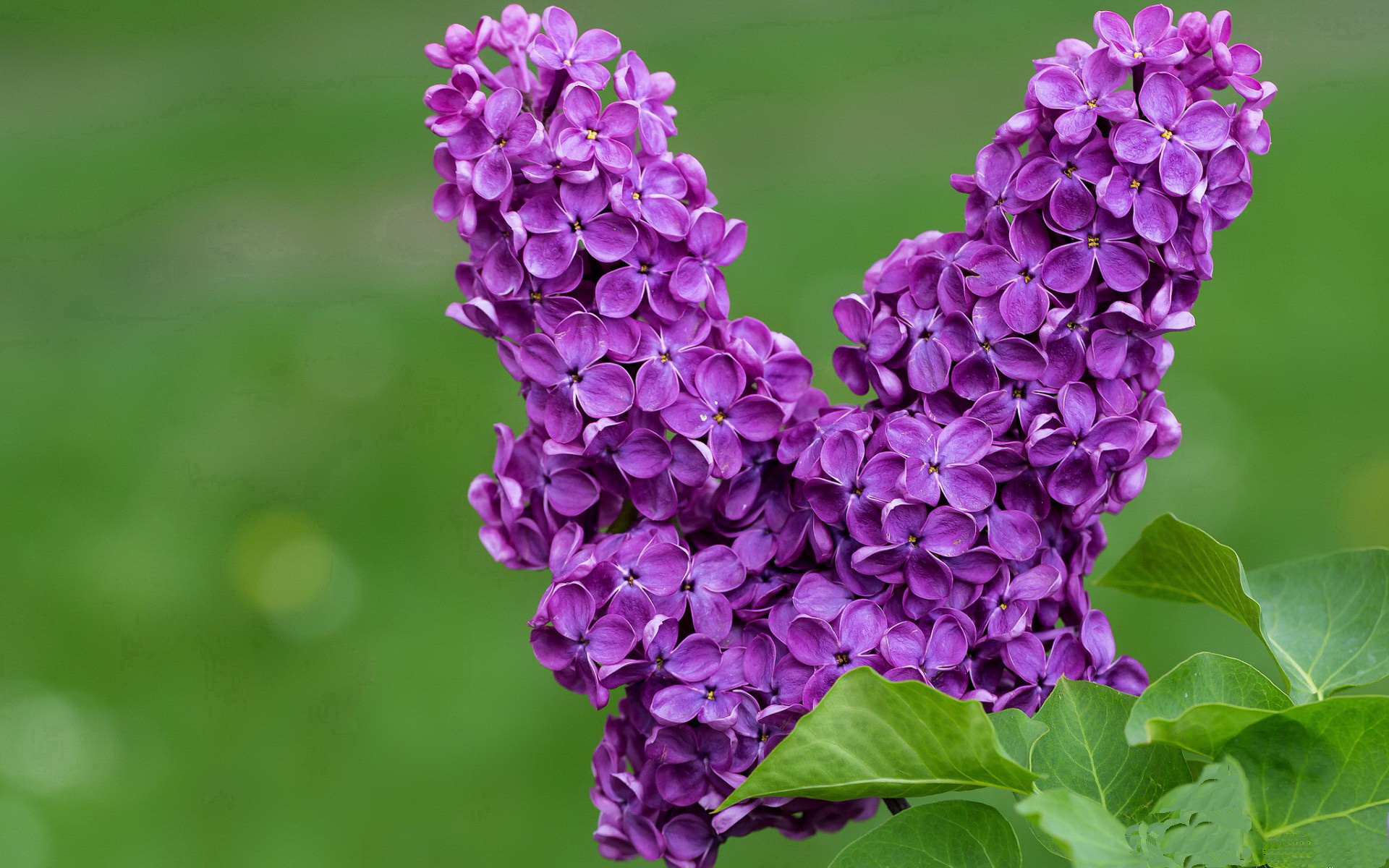 开云体育在线官网-网球青少年培训项目启动仪式，网球青少年培训项目启动仪式视频