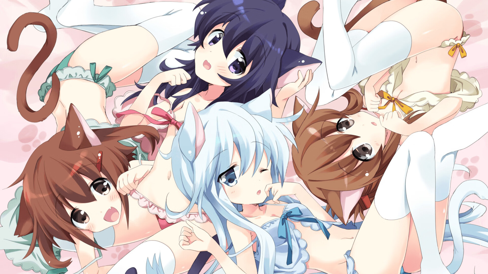 网球青少年培训项目启动仪式，网球青少年培训项目启动仪式视频