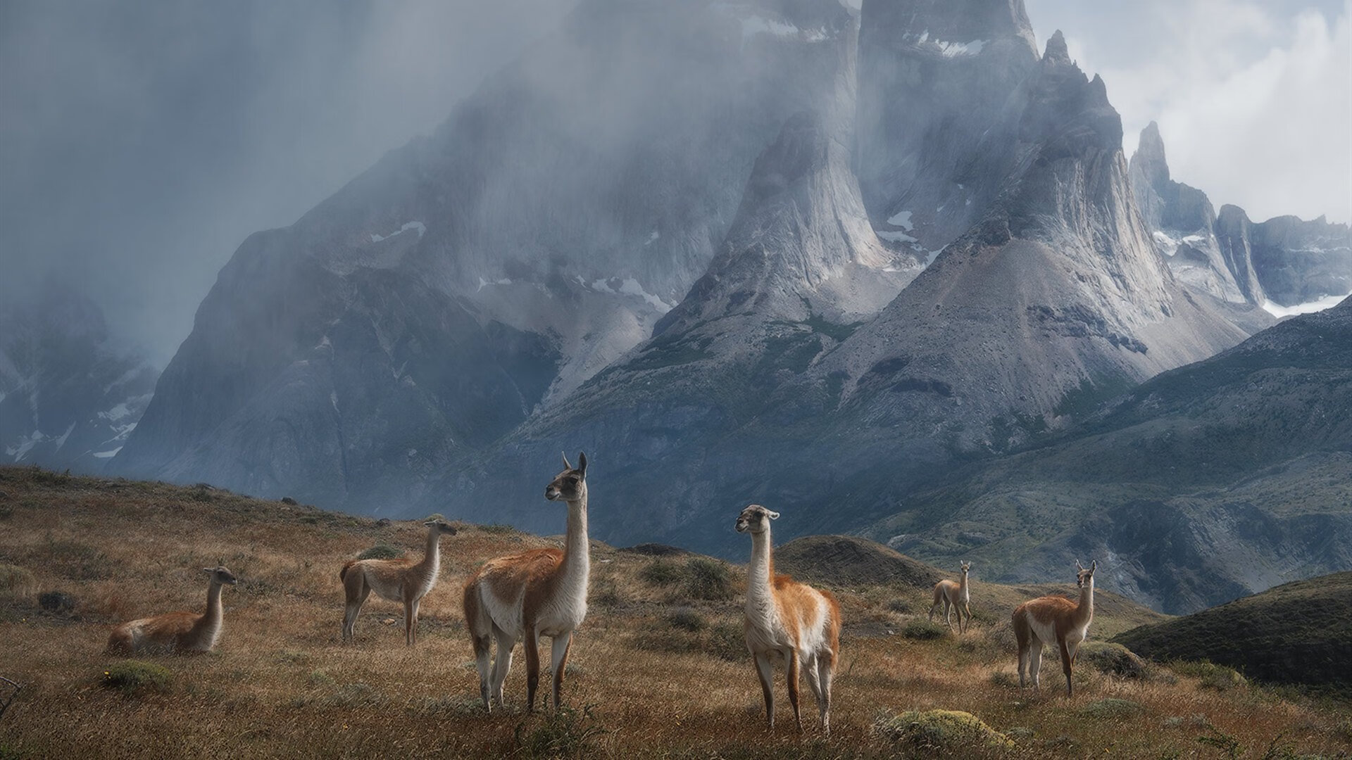 跳水动作美感与控制并重，跳水动作细节