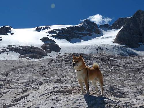 跳水动作美感与控制并重，跳水动作细节