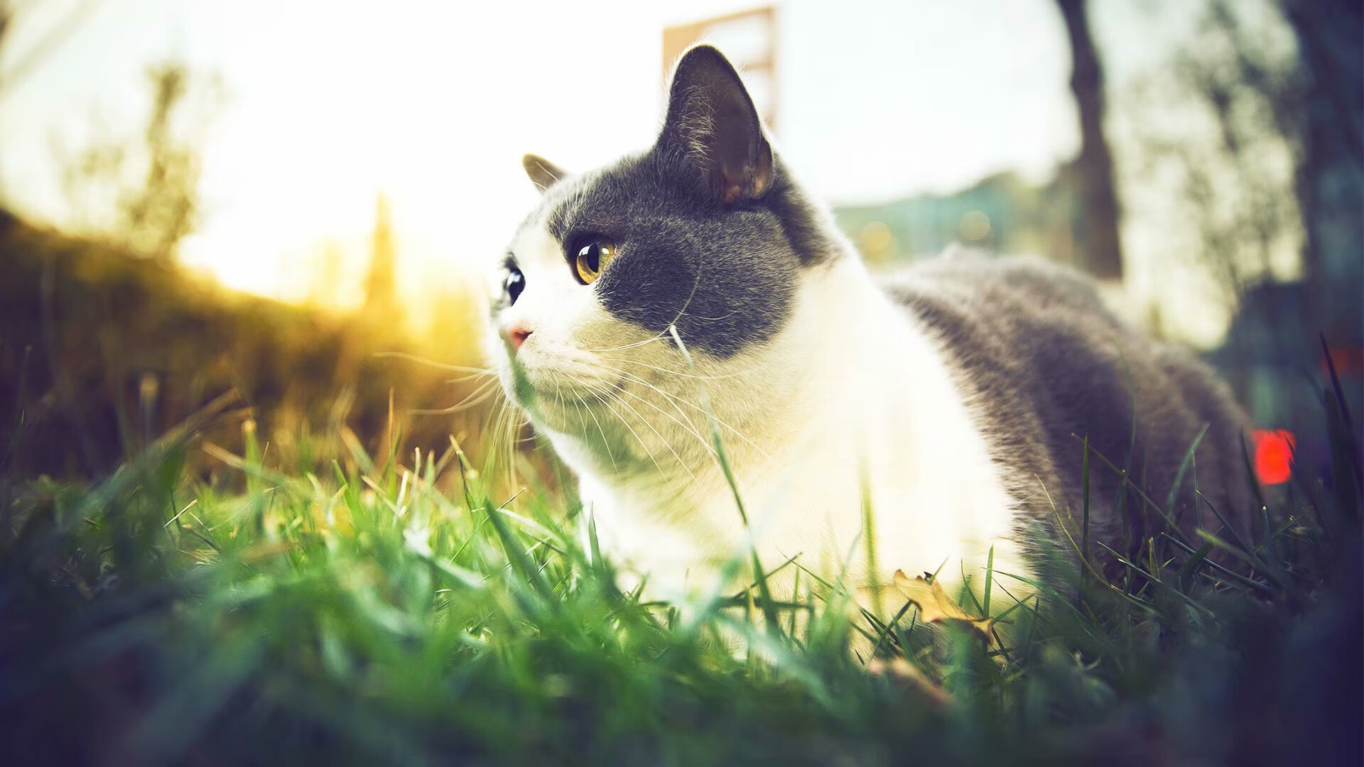 PSG体能调度问题暴露密集赛程弊端,体能ps评分标准