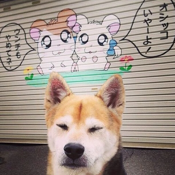 中国足球青训营住宿与饮食环境标准化建议,足球青训营报名条件